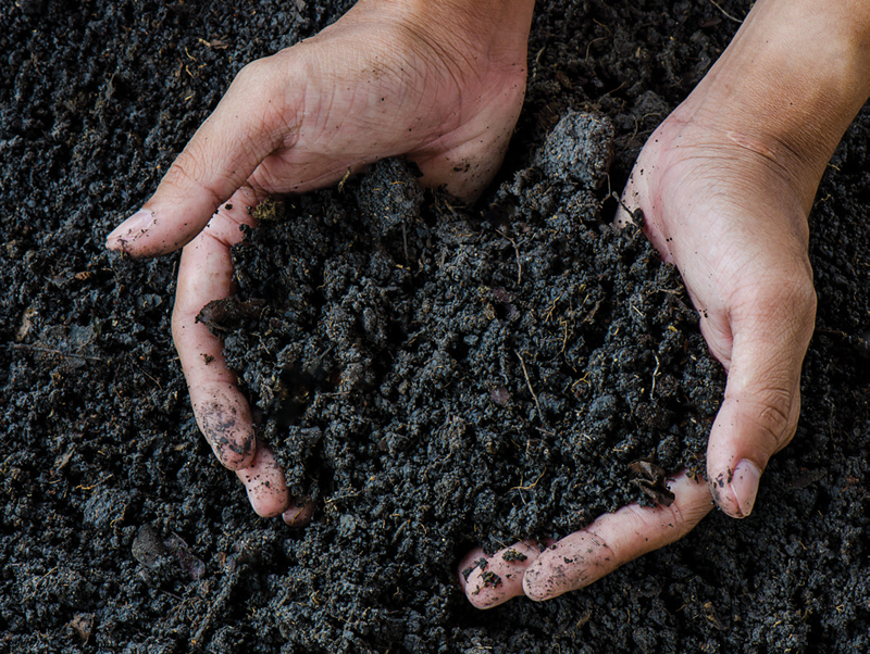 pH: What’s the Big Deal?